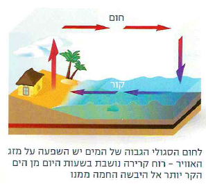 (בספר תמונה:) כאשר יוצאים רטובים מן הבריכה, מרגישים תחושה של קרירות.